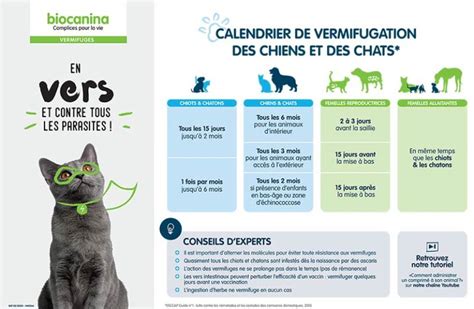 Vermifugation et vermifuge du chien et d